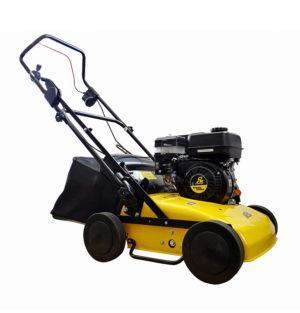 SCARIFICATEUR RL301