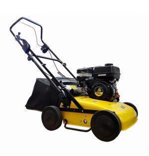 SCARIFICATEUR RL301E